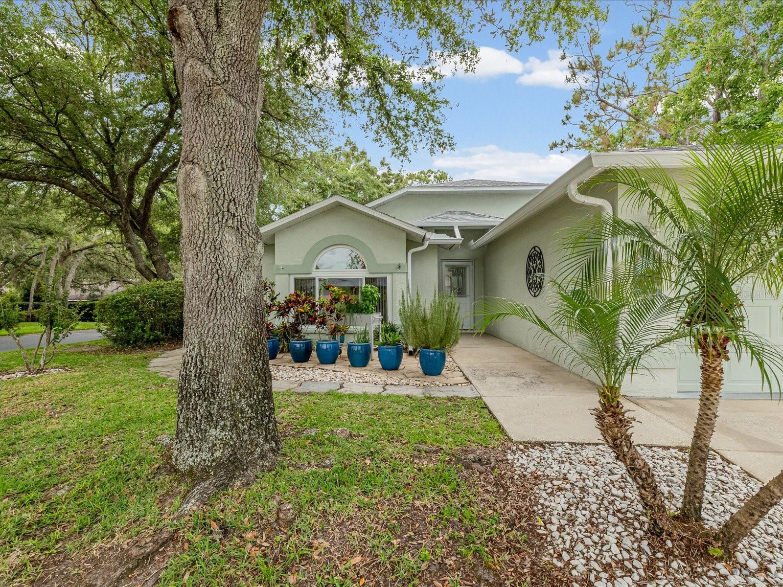 Front of home with walkway to side patio