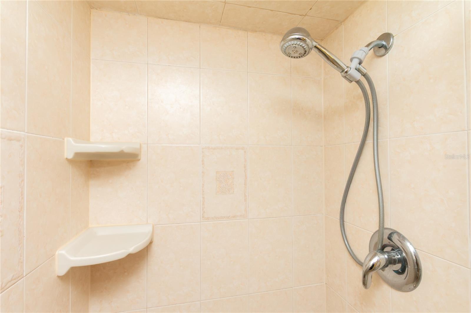 guest bath with walk in shower