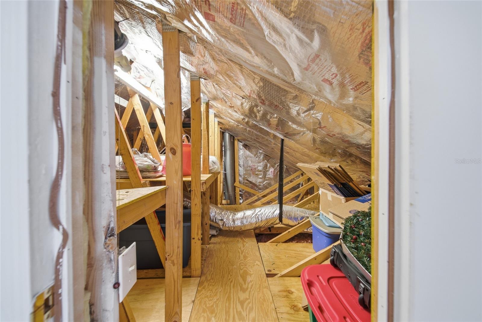 Walk-in Attic (Loft Area)