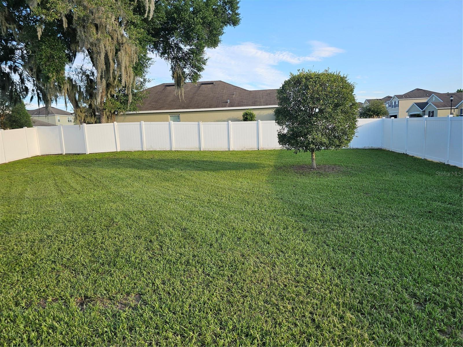 Fenced yard