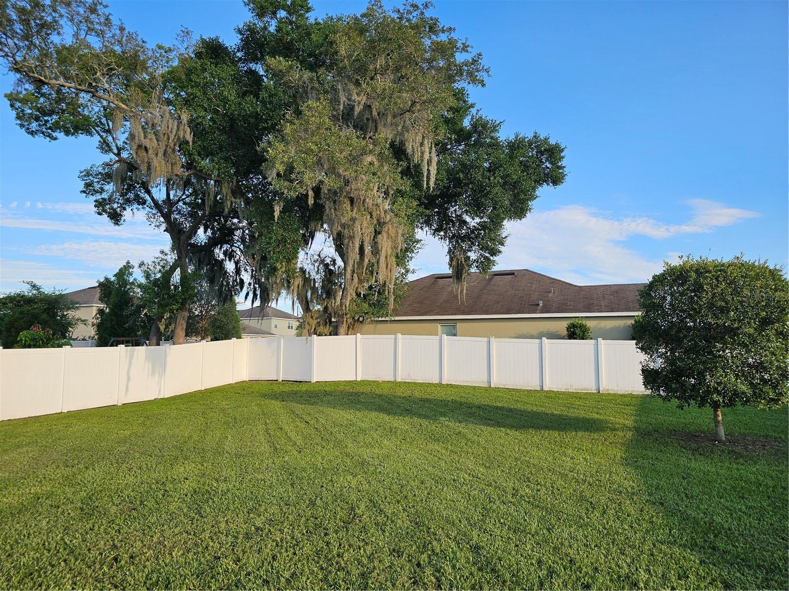 Fenced yard