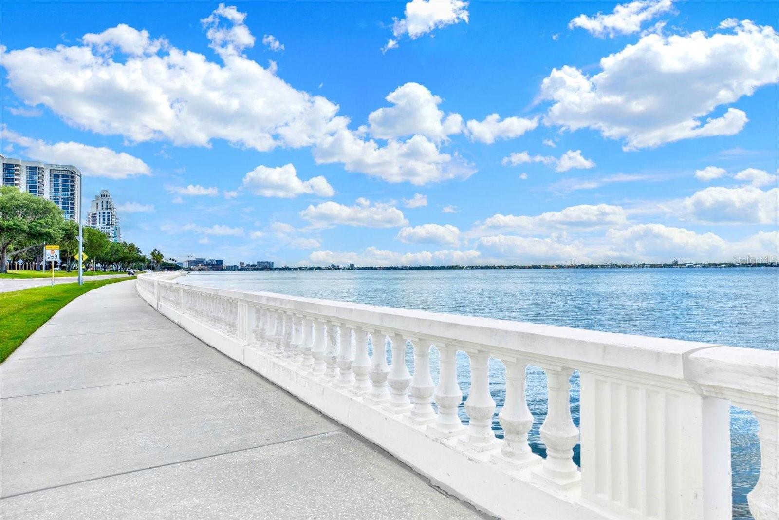 Bayshore Blvd's famous trail for walking, jogging, and biking.