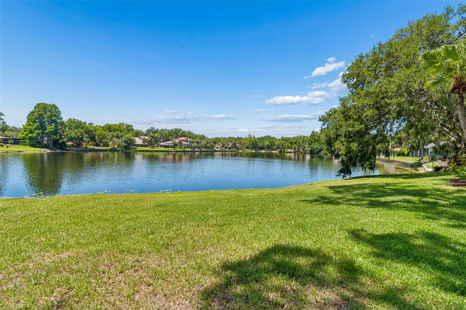 Lake Views