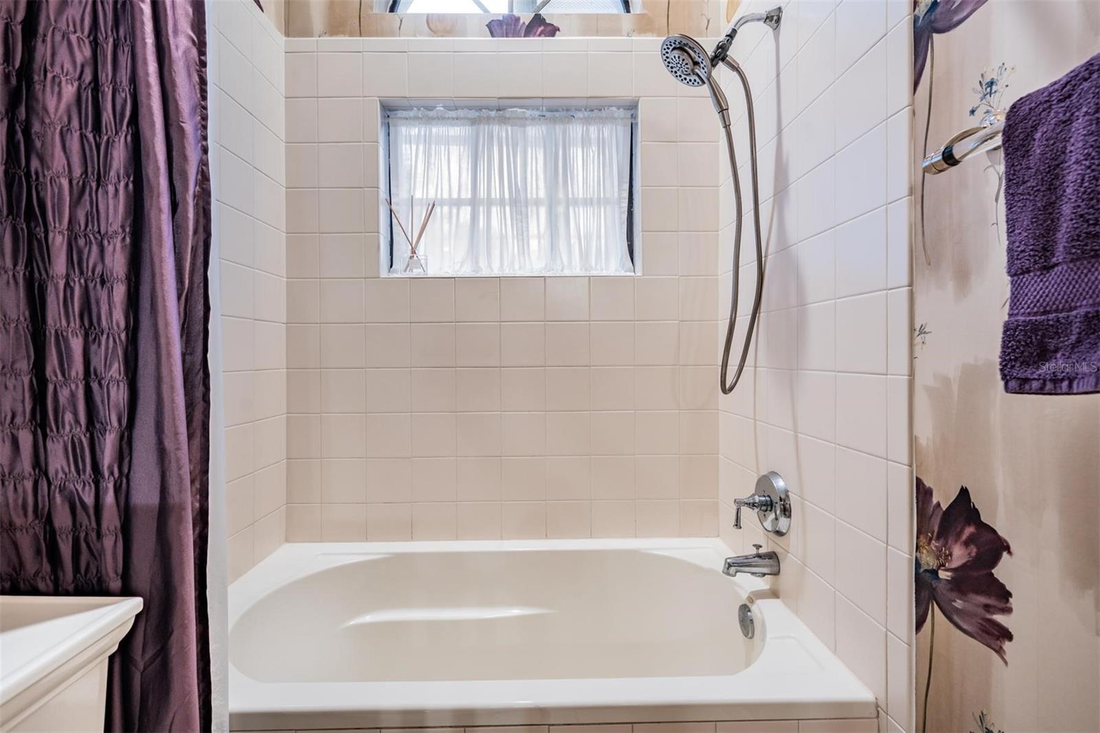 Guest Bathroom with Tub