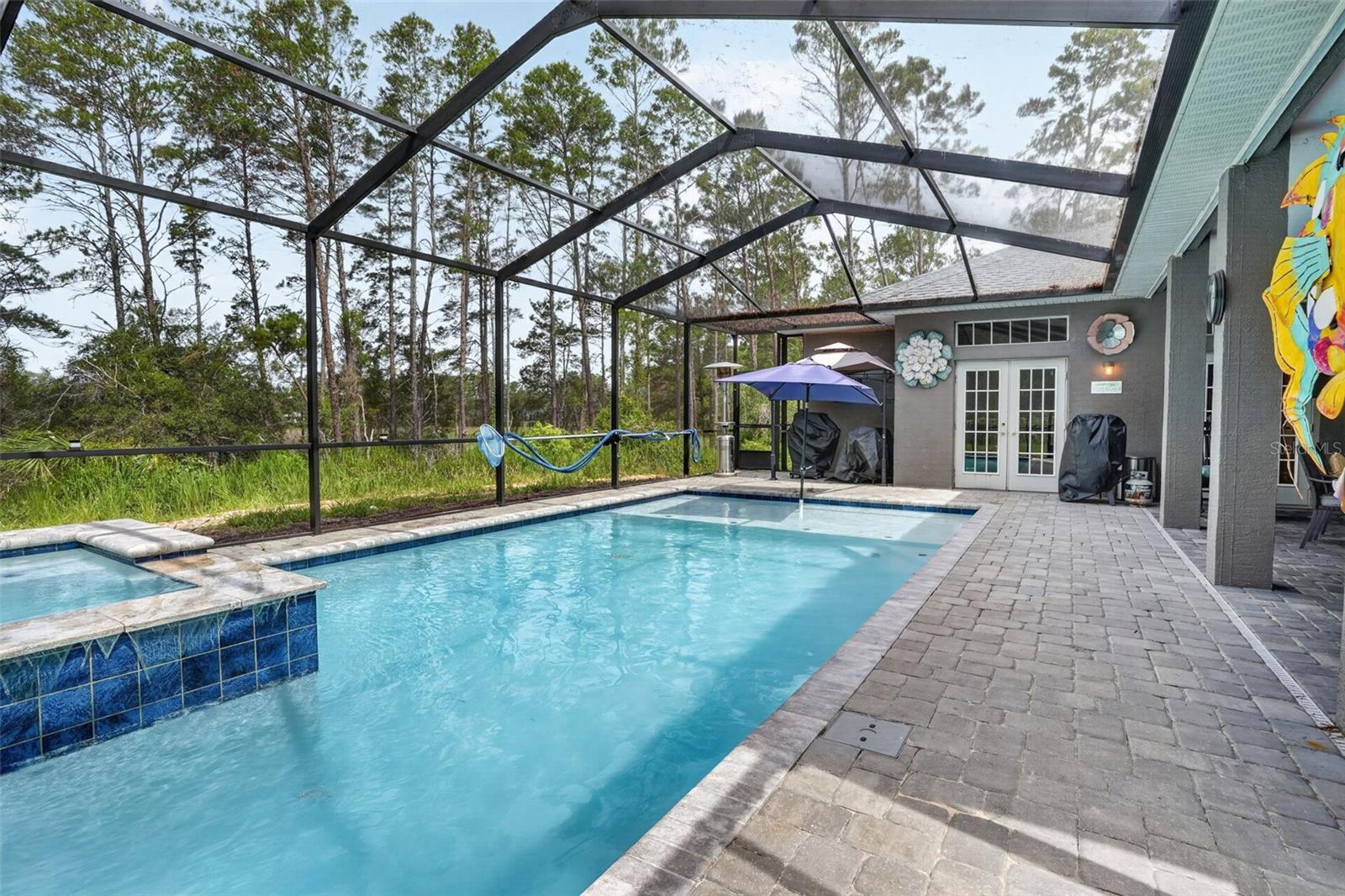 Pool over looks wooded back yard lot to Lake Tooke