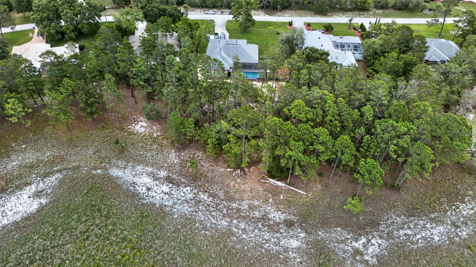 L4961881