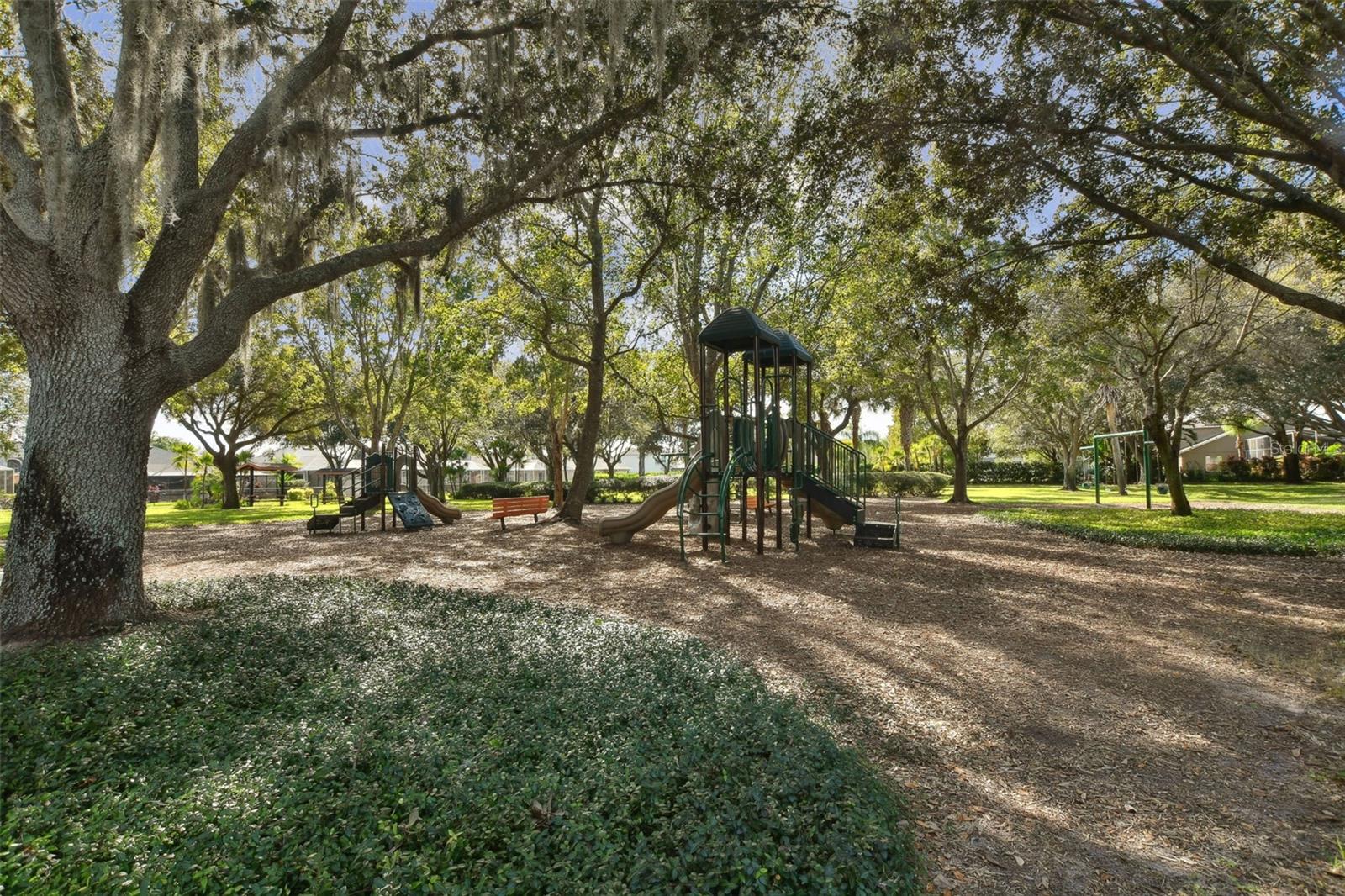 TB8508442