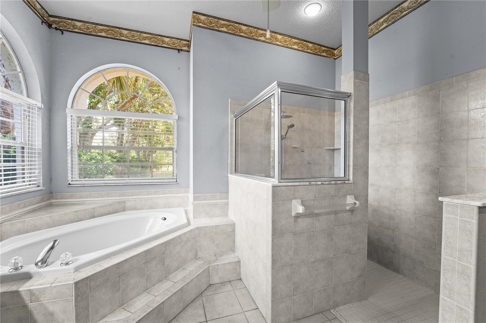 Master Bath view 3