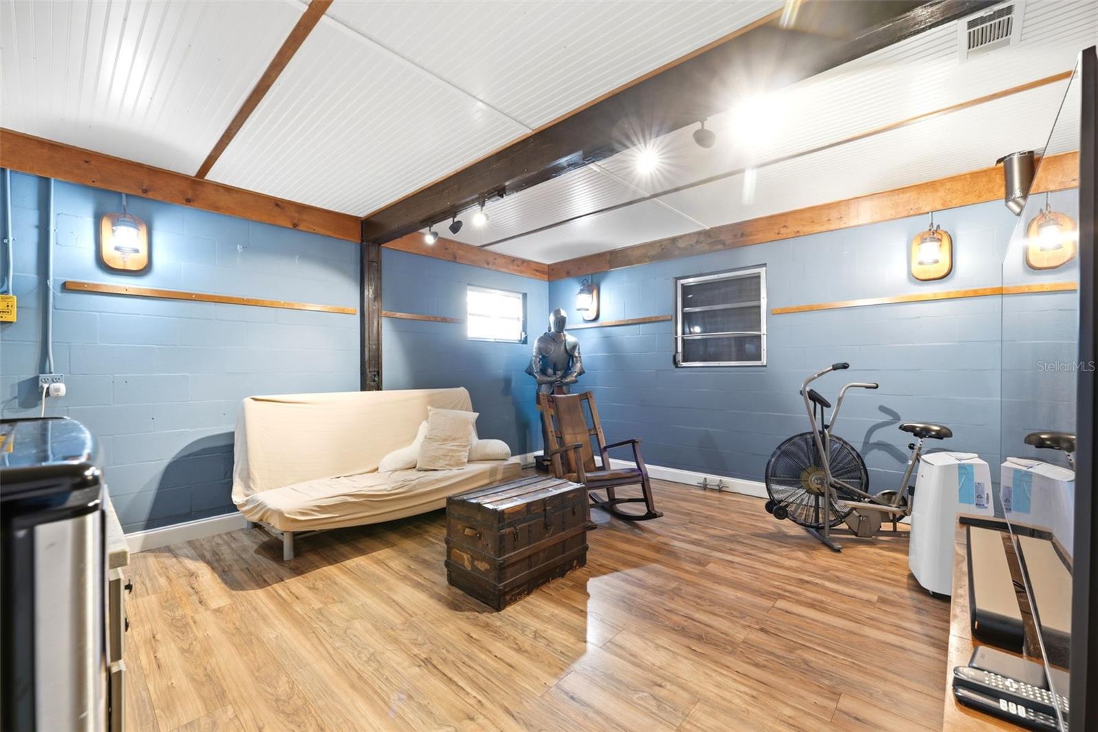 Flex Room- Basement