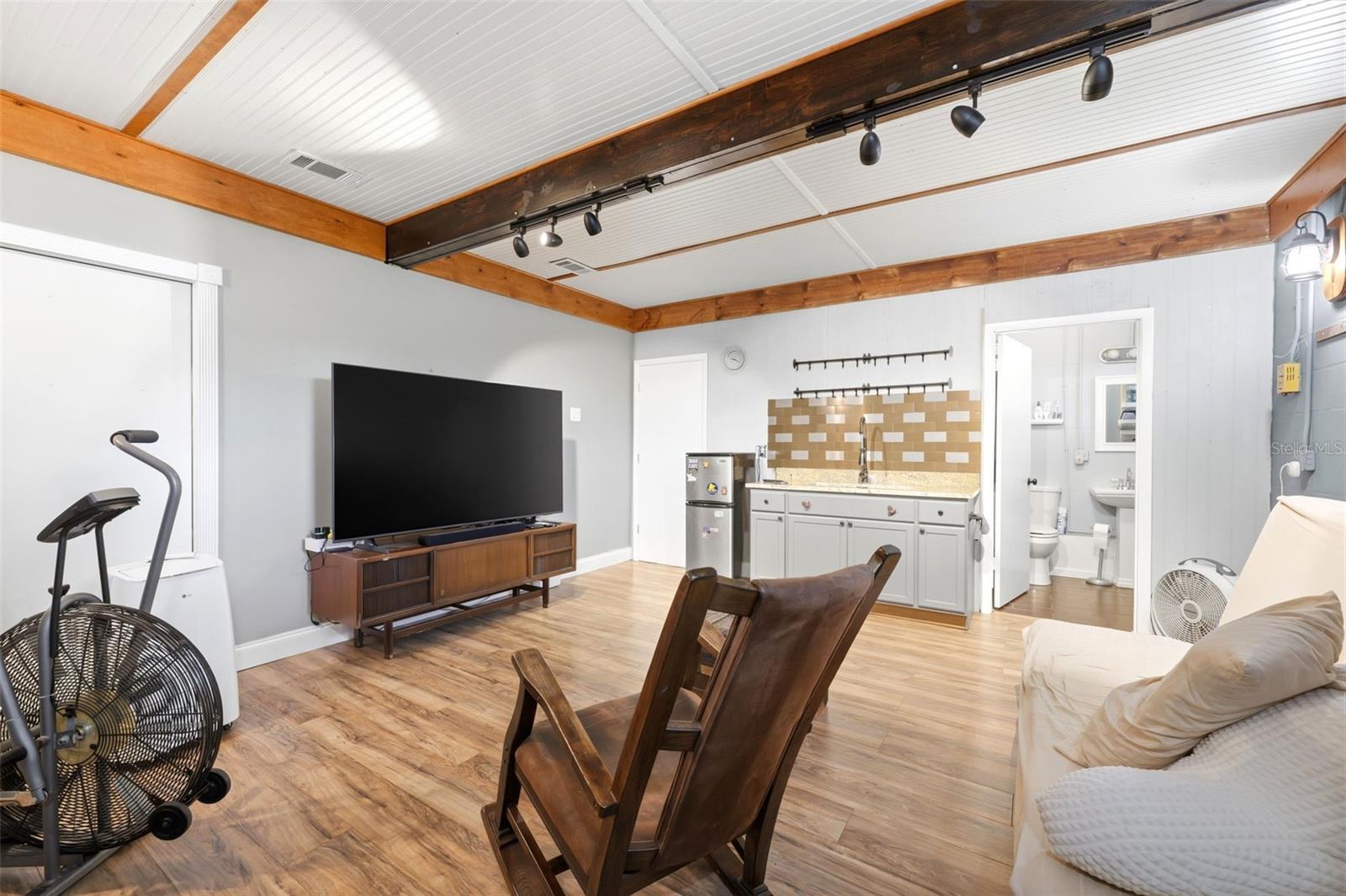Flex Room- Basement