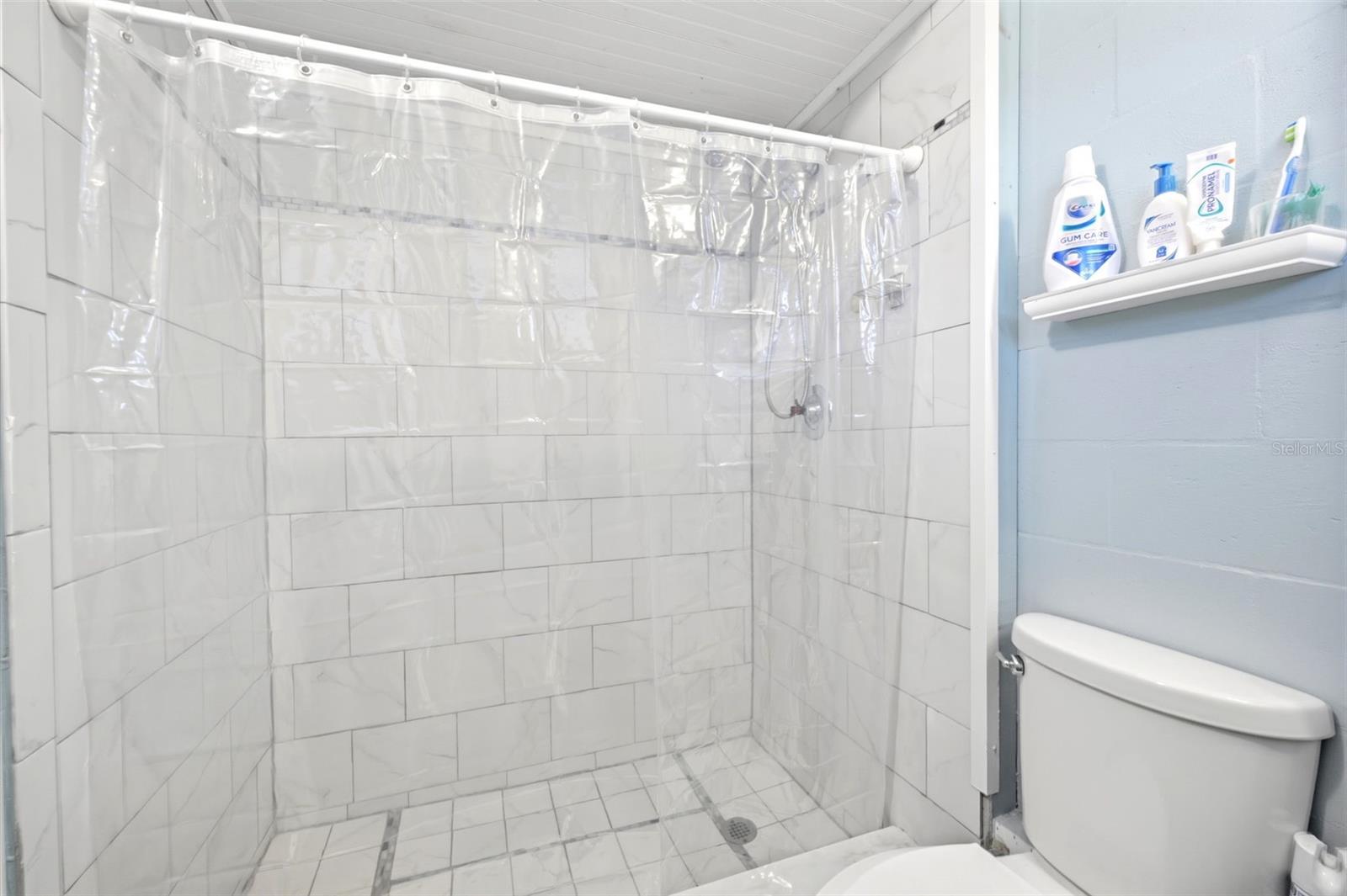 Bathroom 4- Basement