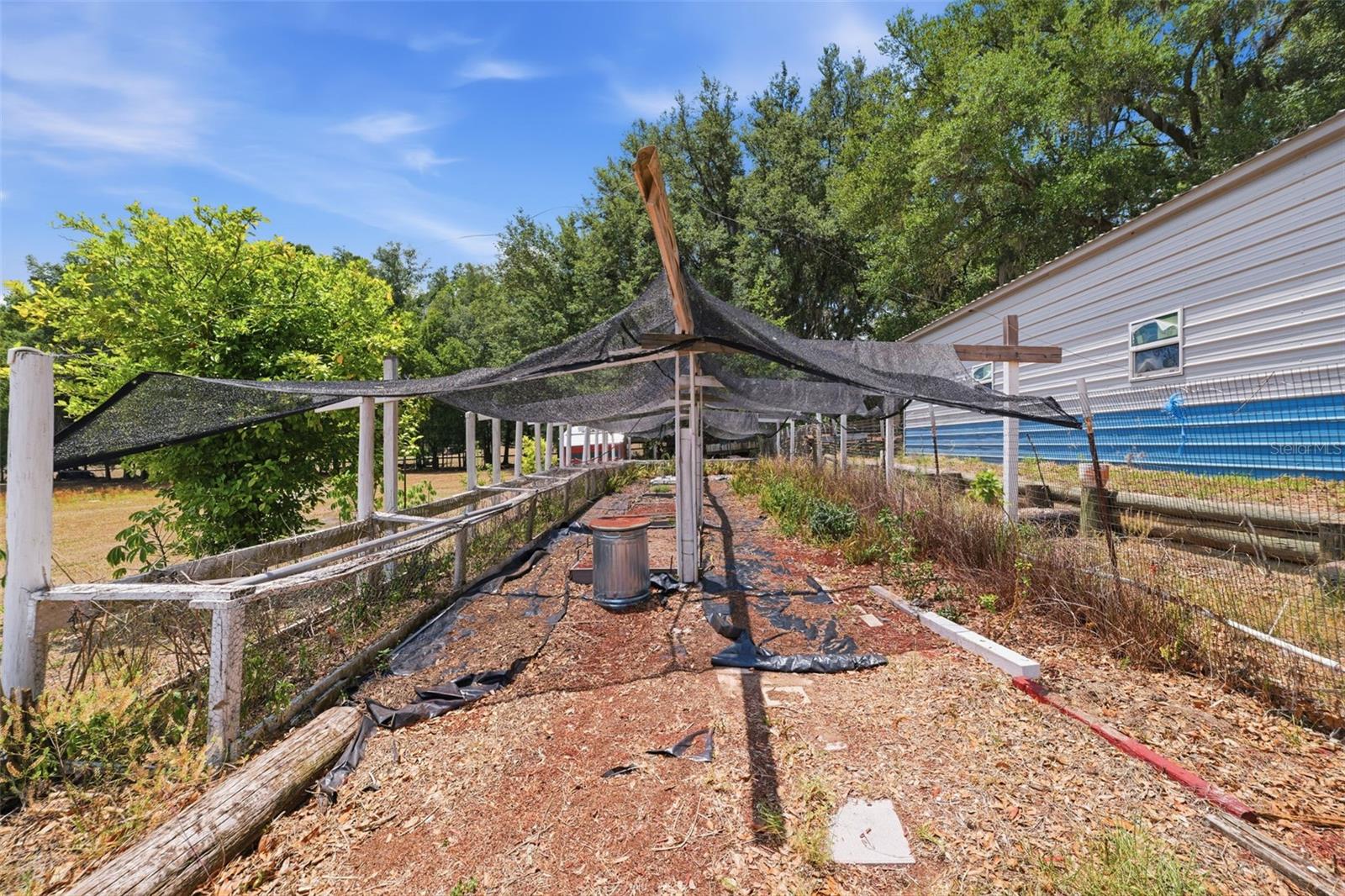 Garden Area