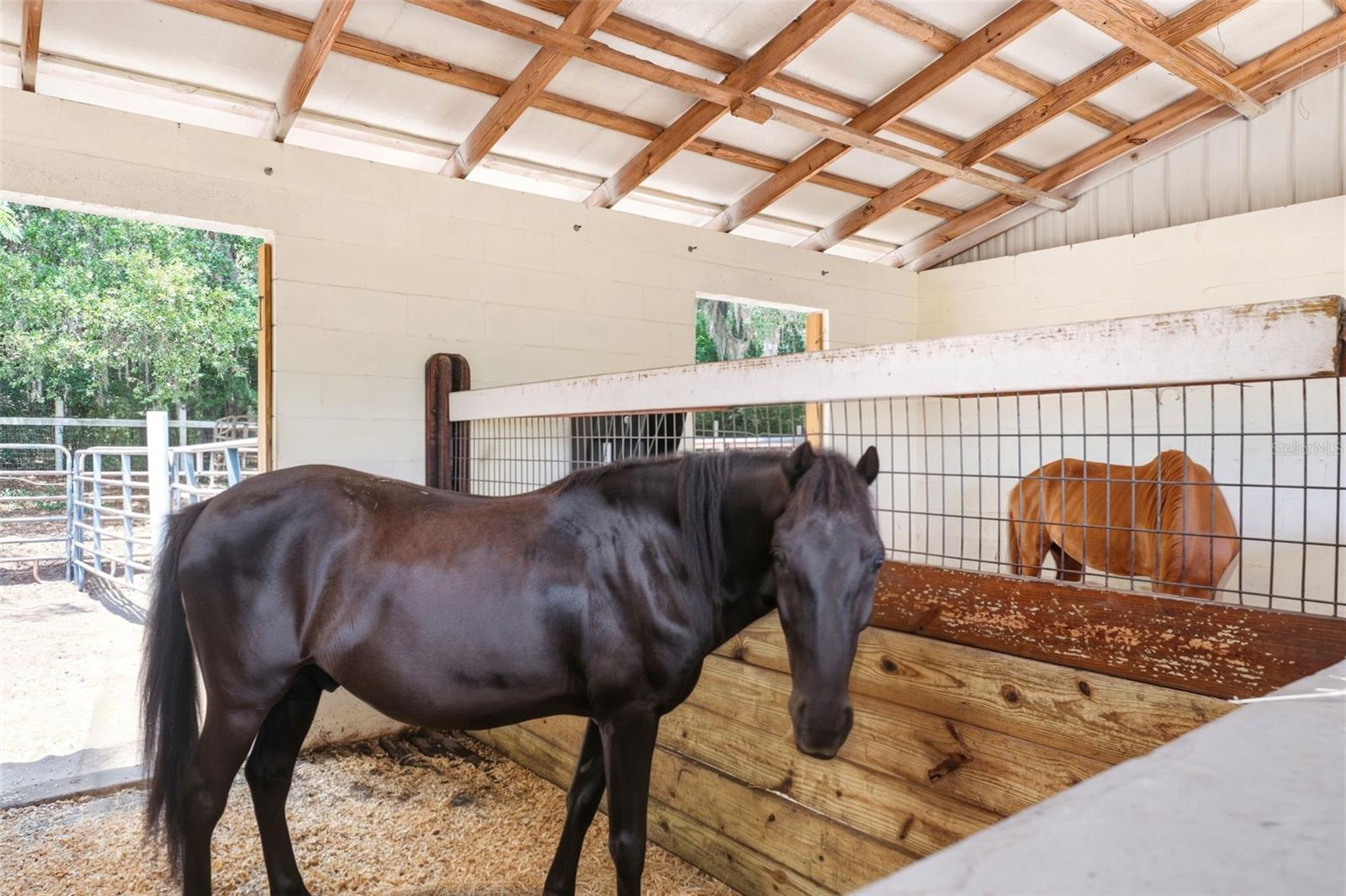 Horse Stables