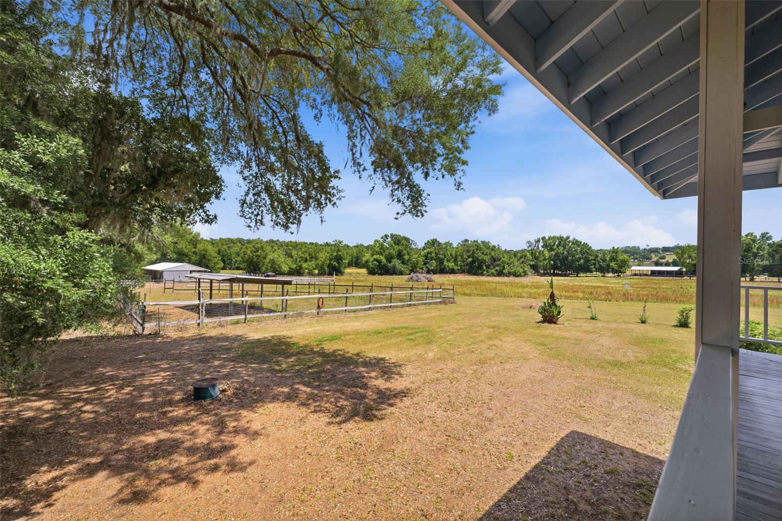 View from Porch