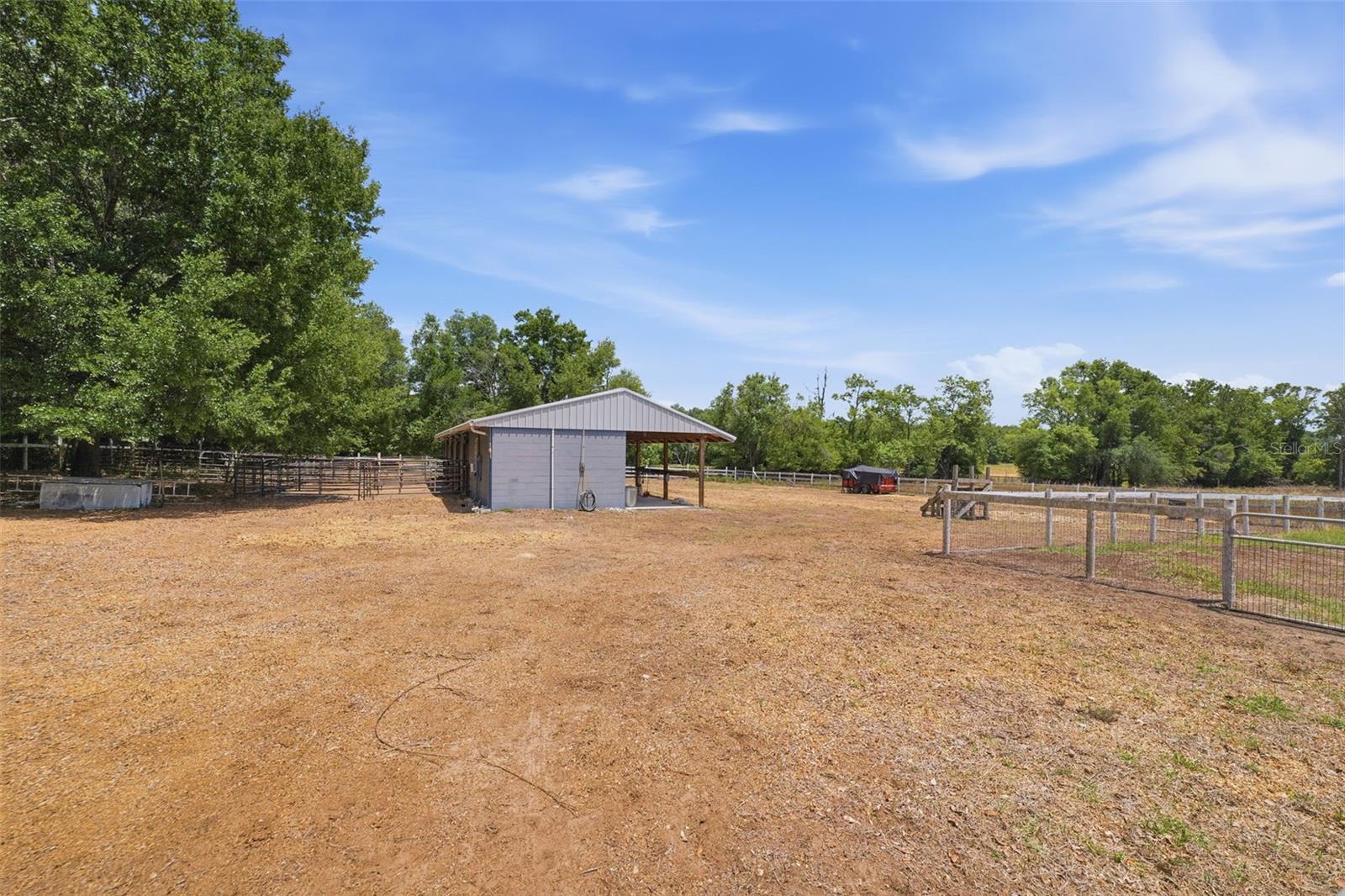Horse Amenities