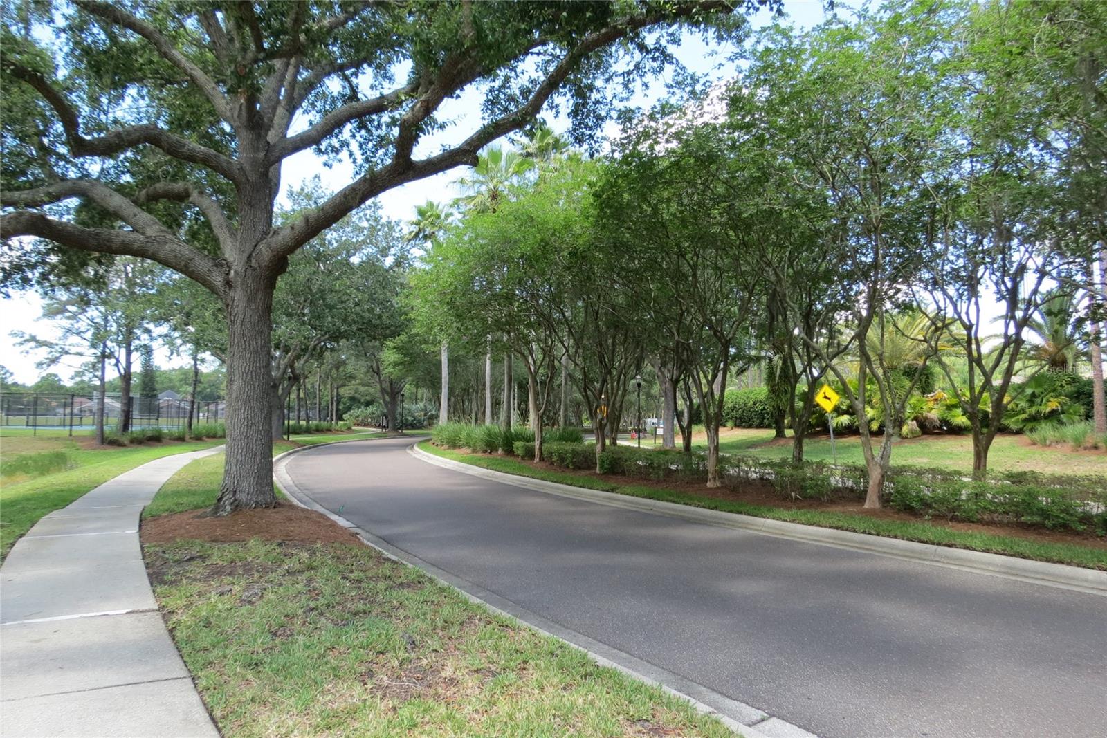 Tree lined entrance w/ palms & oaks.