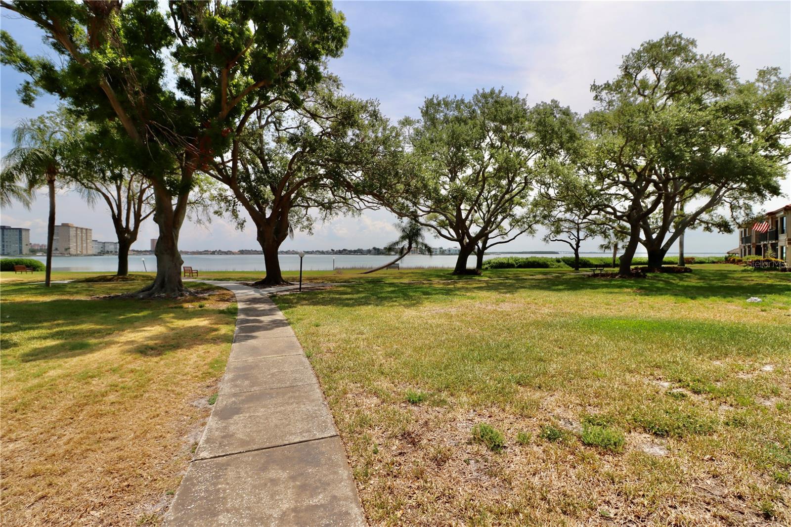 Park scenery