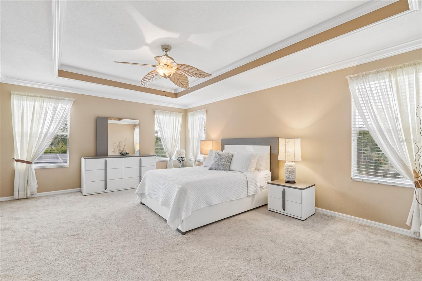Check out the Tray Ceiling and Crown Molding!