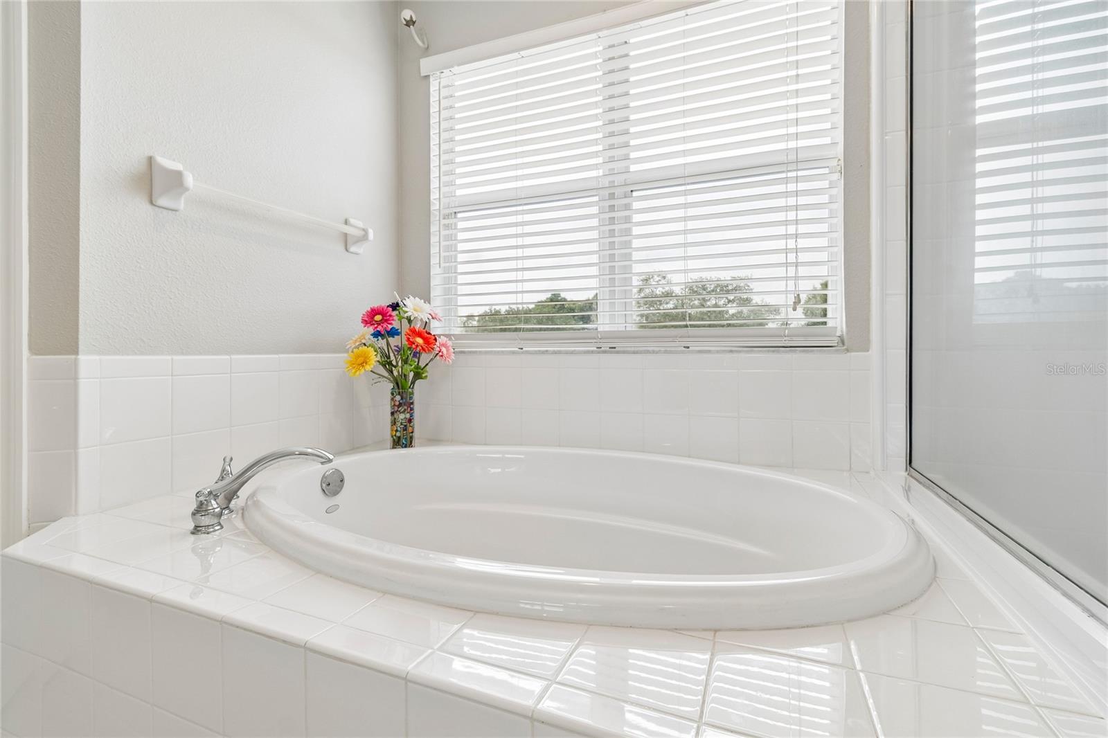 Tub Separate huge shower