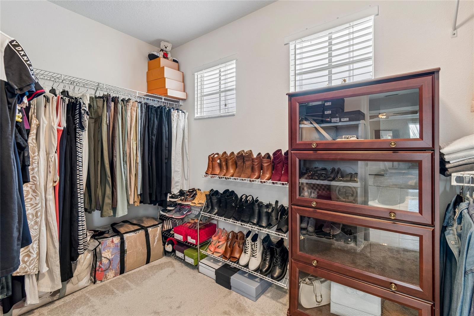 Walk In Closet #1