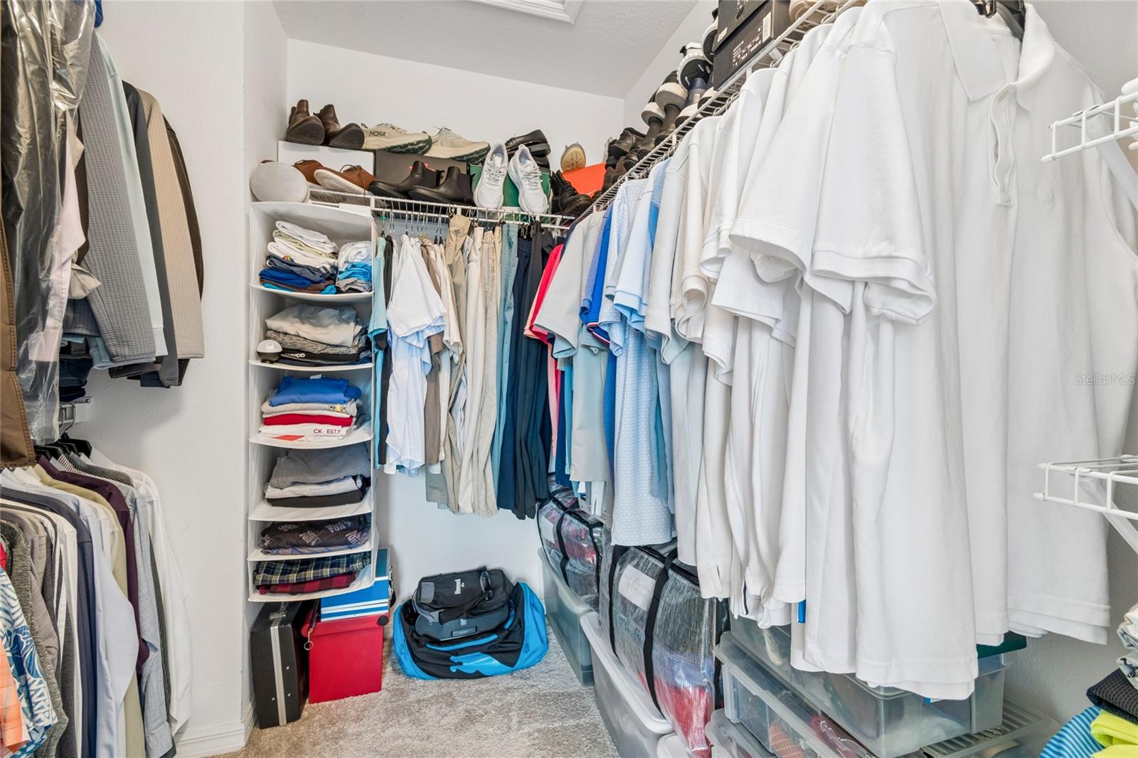 Walk In Closet #2