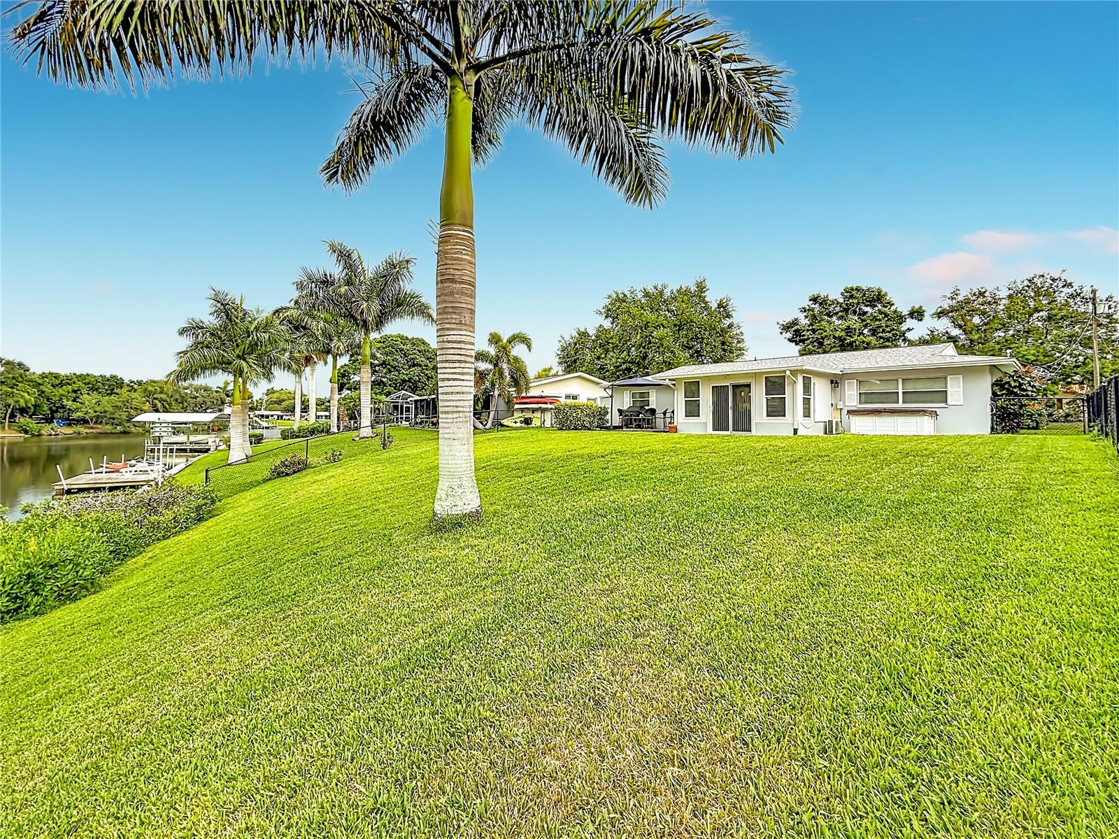 Side view of spacious size lot with palm tree
