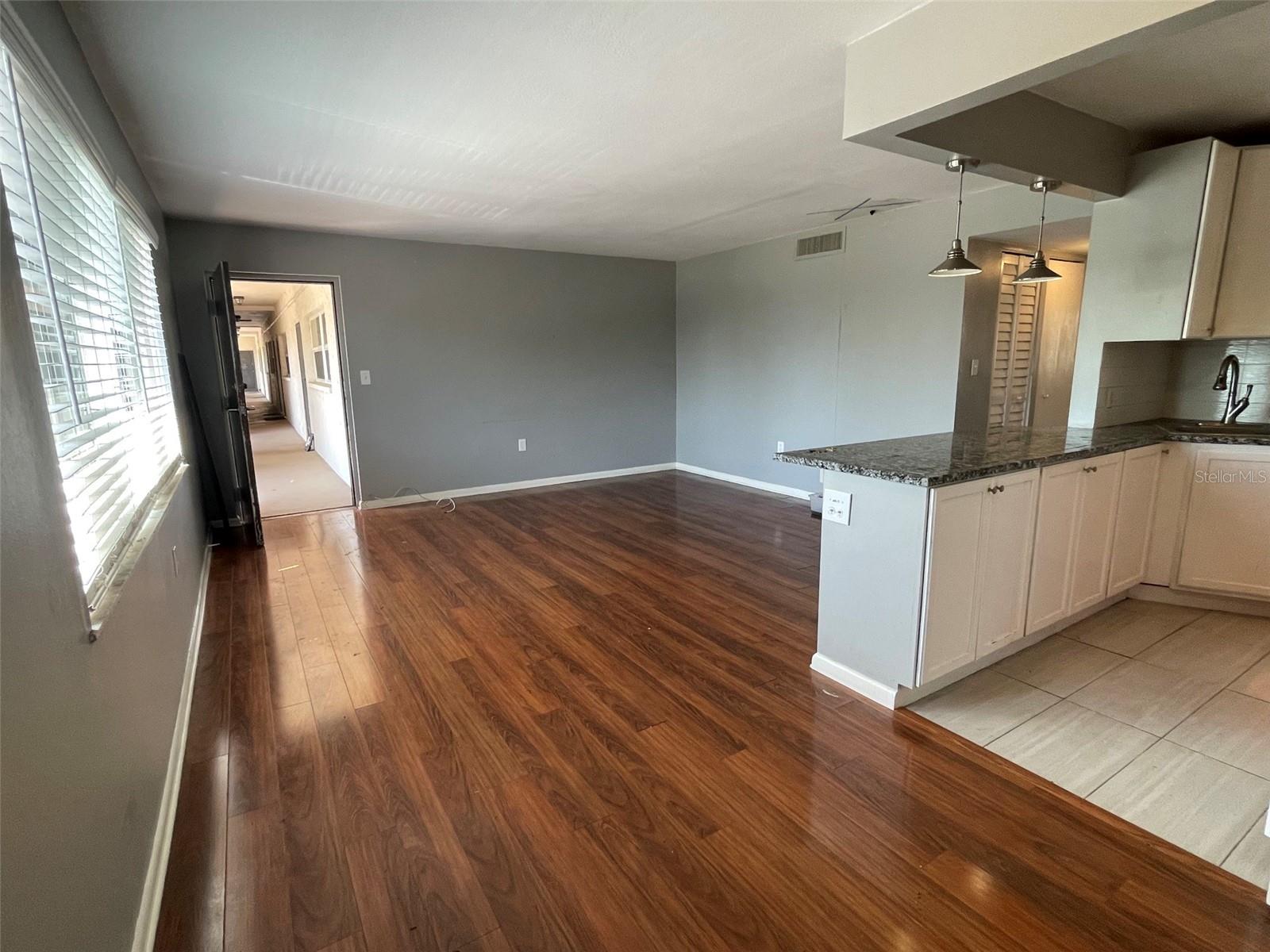 Living Room/Dining Room combo