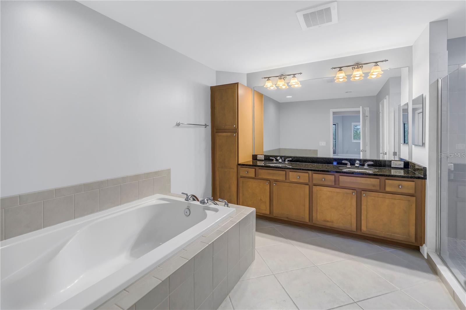 Primary Bathroom Tub and Duel Sink