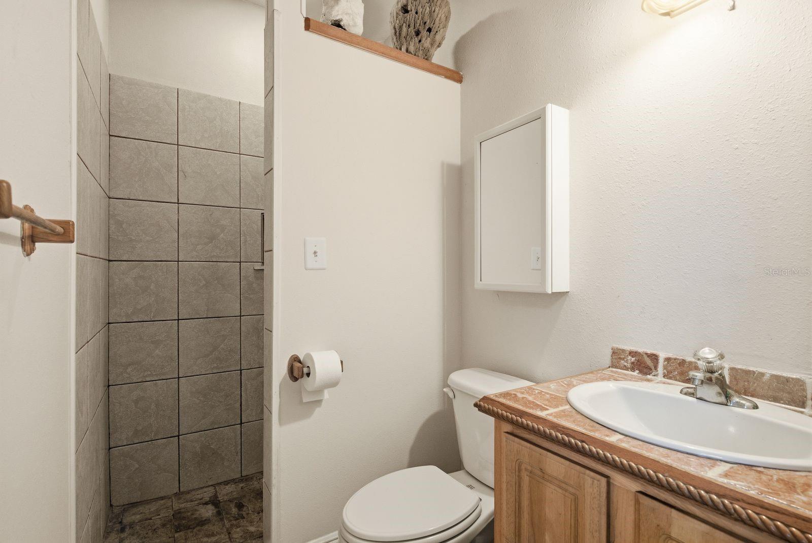Garage Bathroom