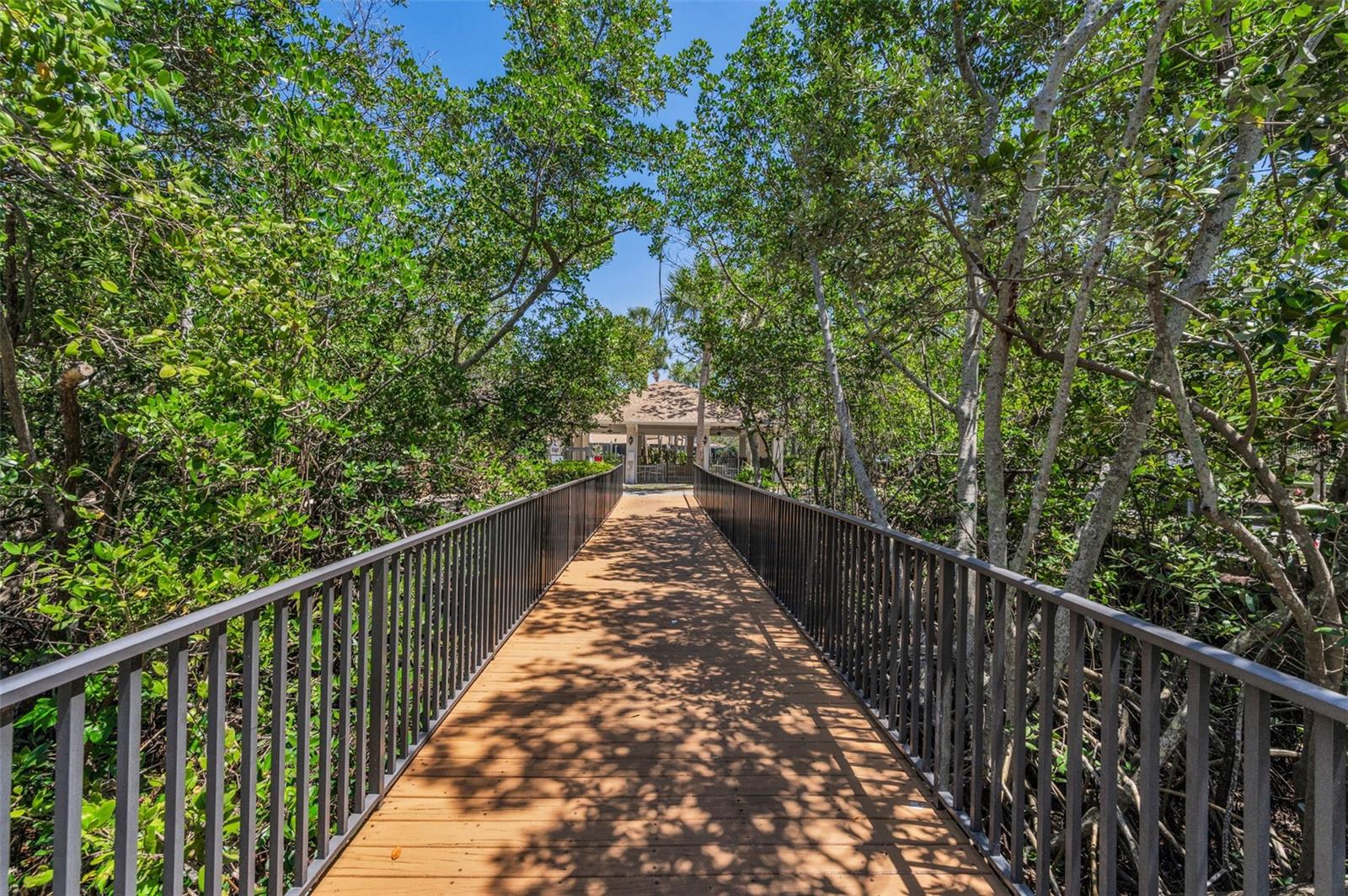 Bridge to Pool