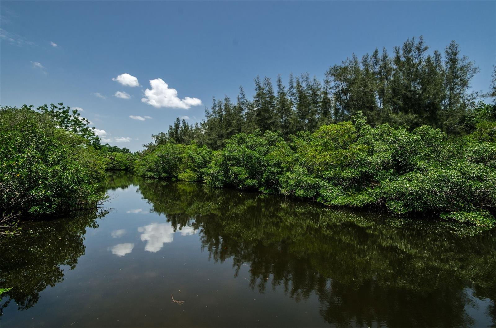 View fron Dock