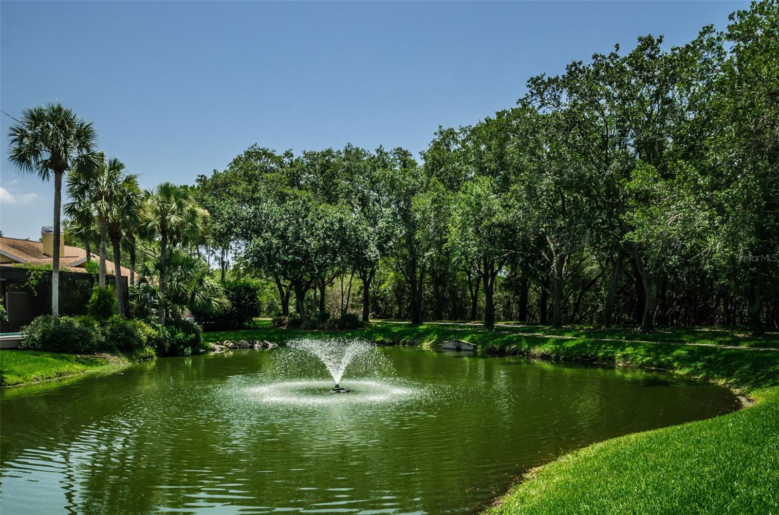 Caya Costa Pond