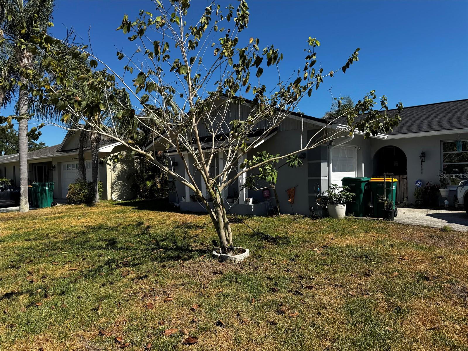 O6407850