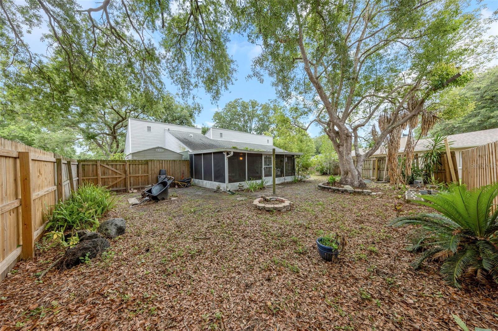 Rear Yard