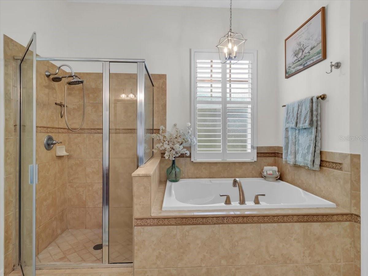 Walk in shower and Relaxing Bathtub!