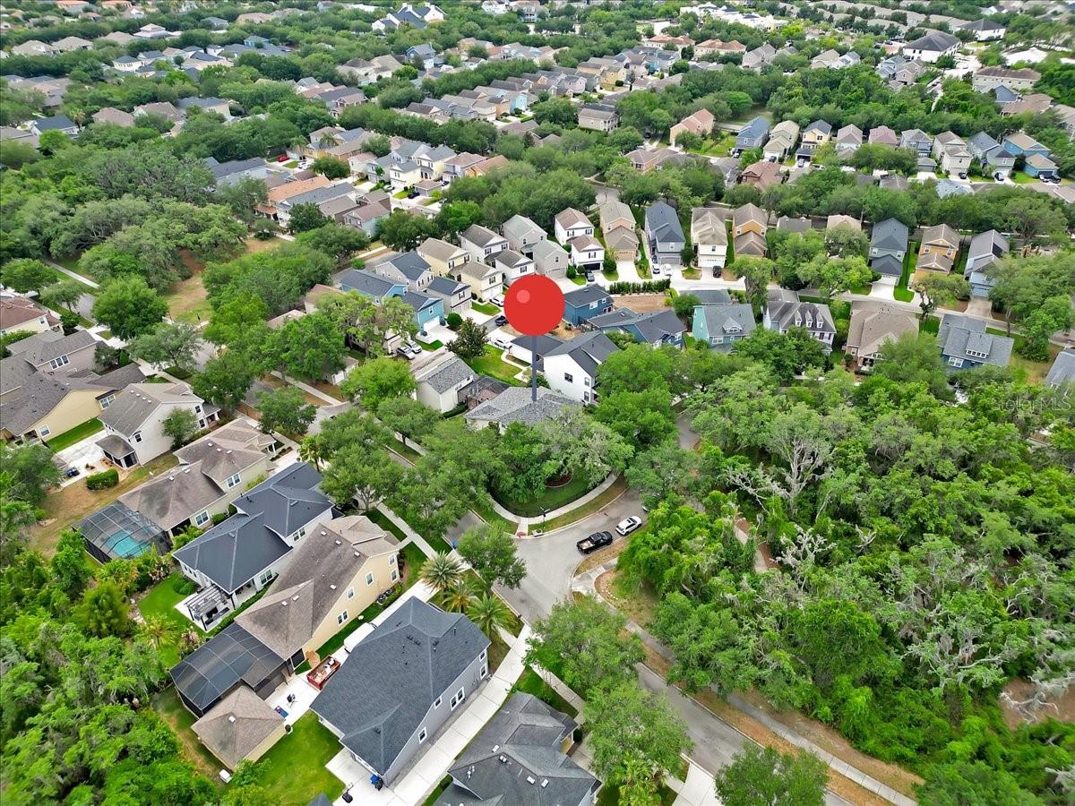 L4961908