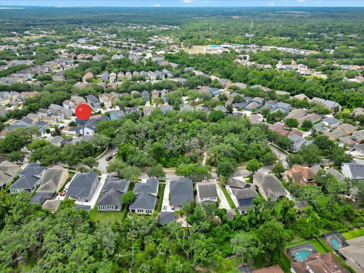 Just a few blocks from the Pools and activity Center and  Fishhawk Creek  Elementary is  in walking distance. NO MORE CARPOOL LANE!!