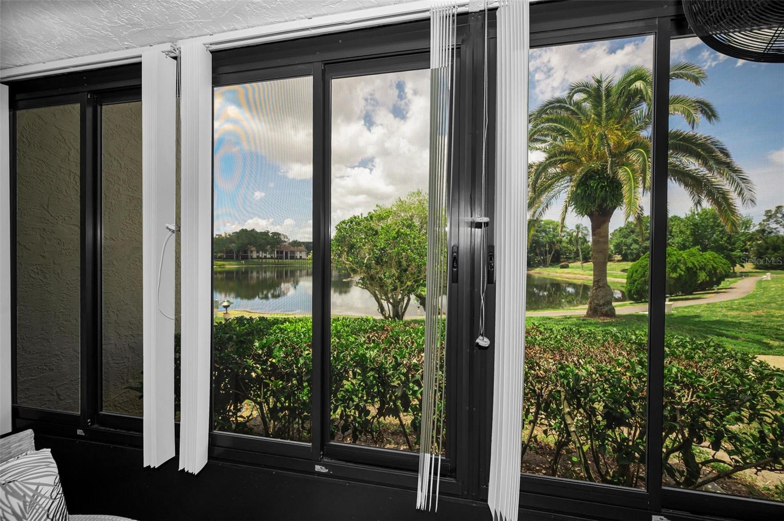 View from enclosed patio with windows