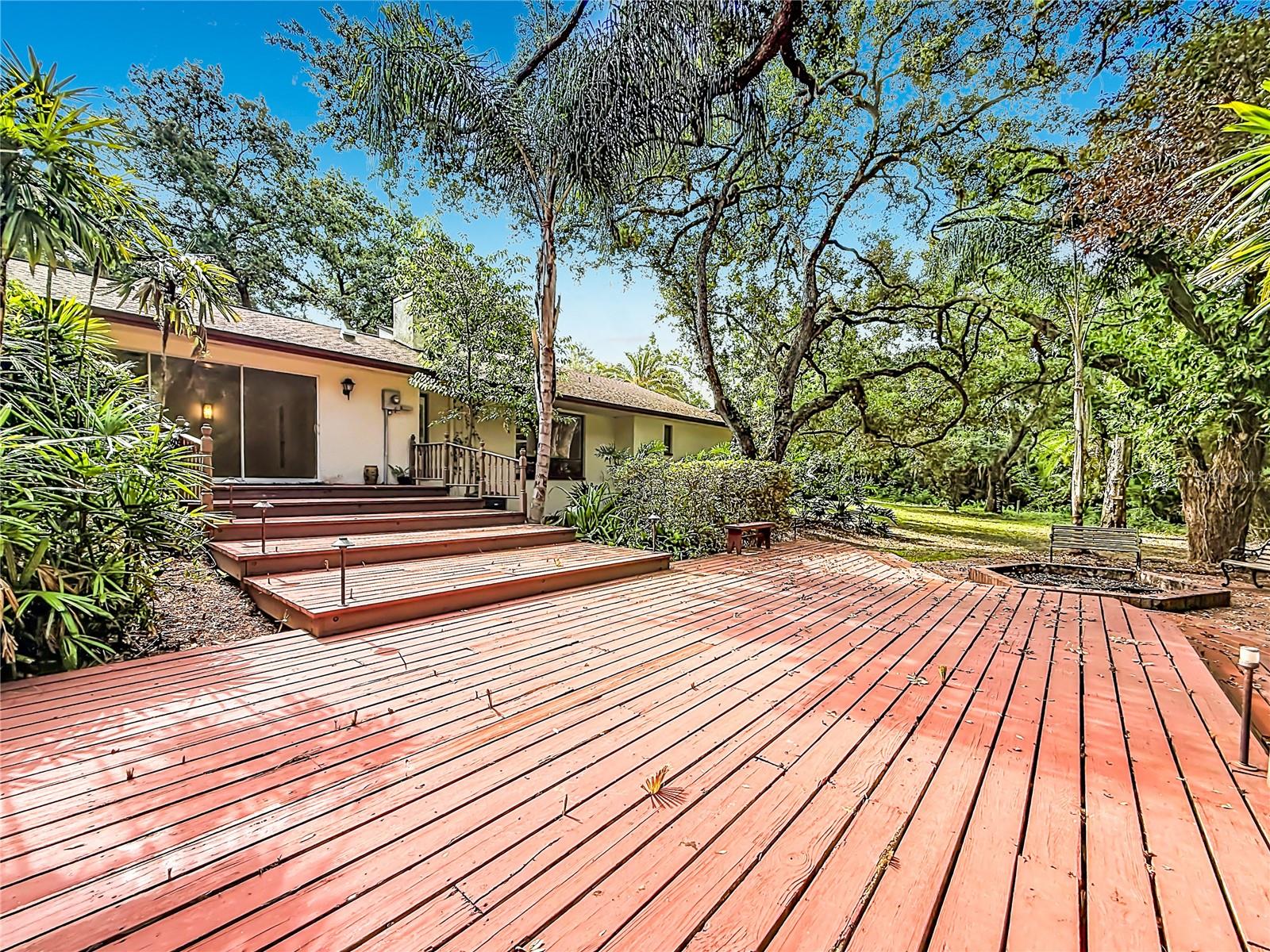 Expansive Deck