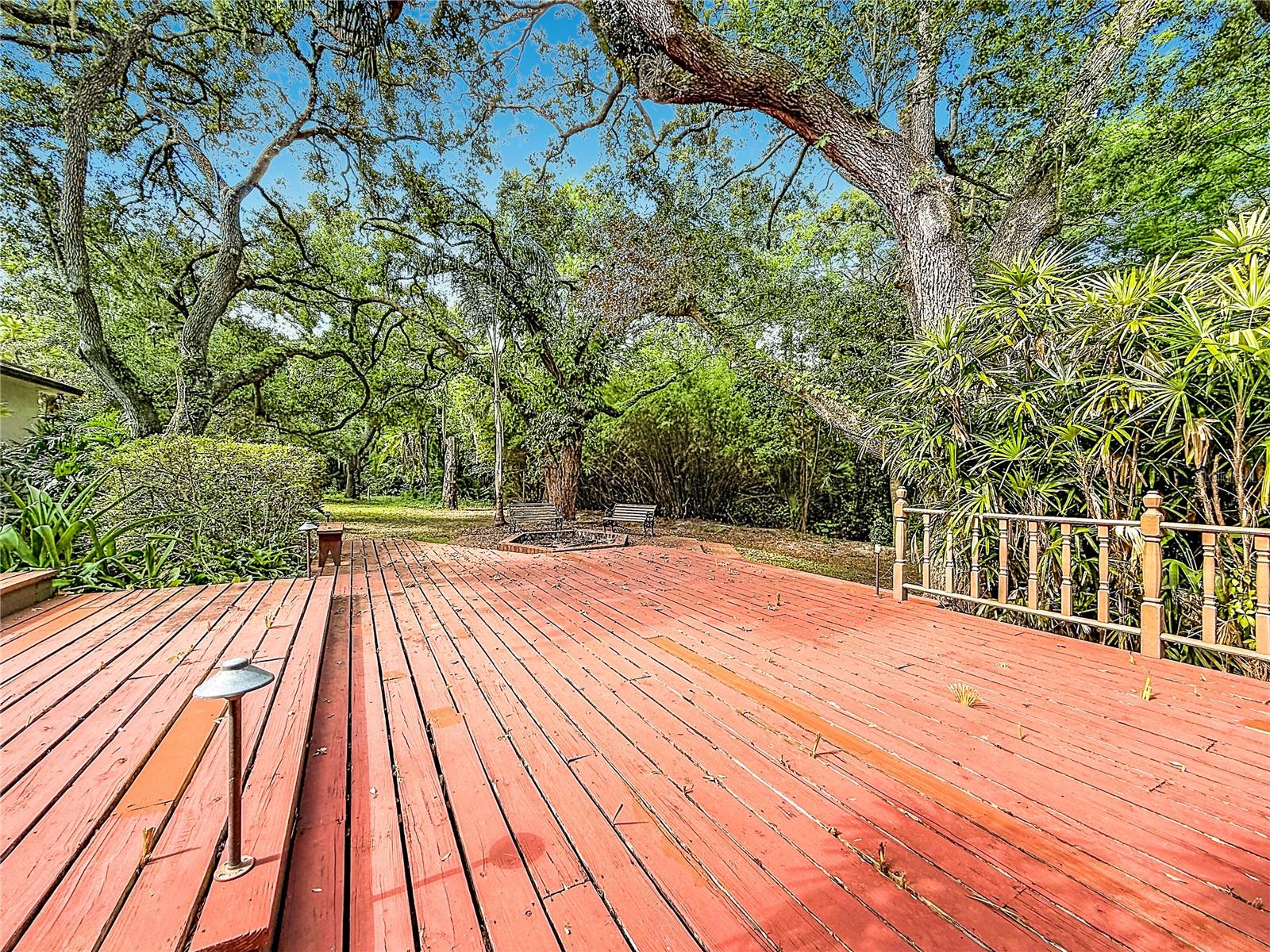 Expansive Deck - Fire Pit