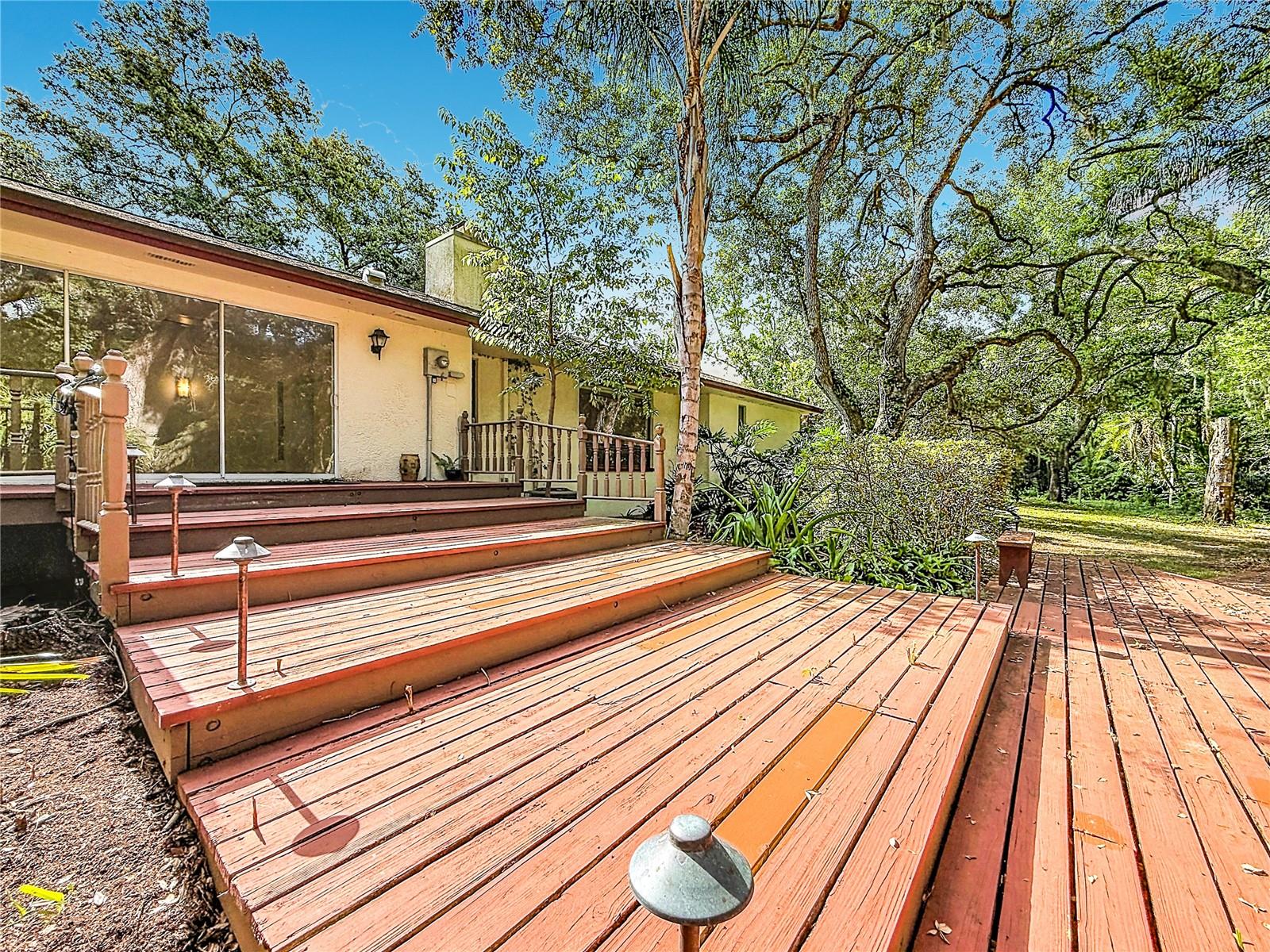 Expansive Deck