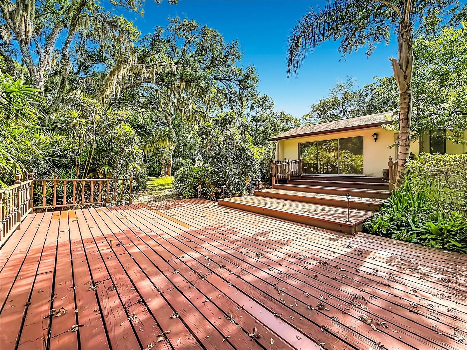 Expansive Deck