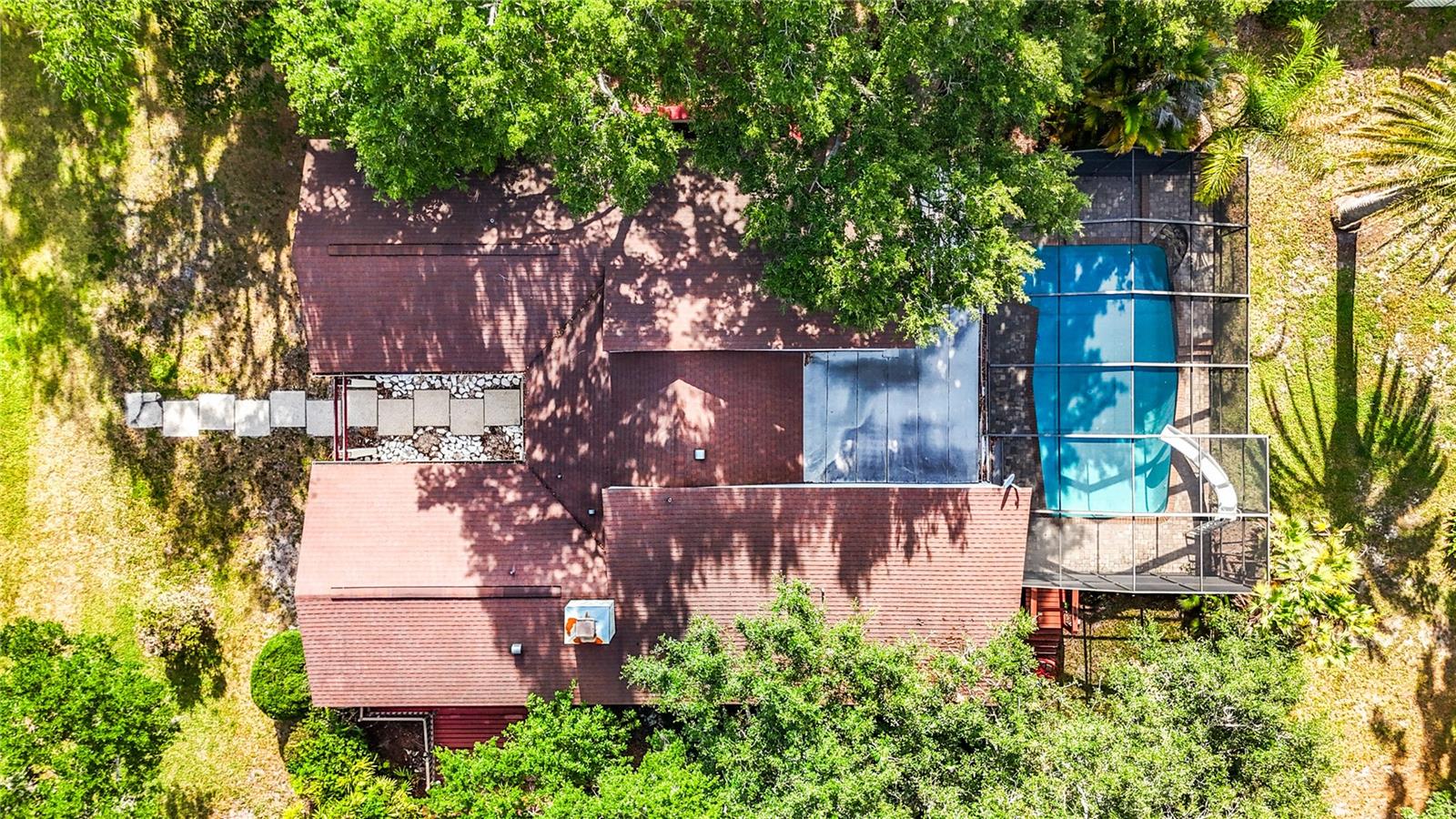 Bird's Eye