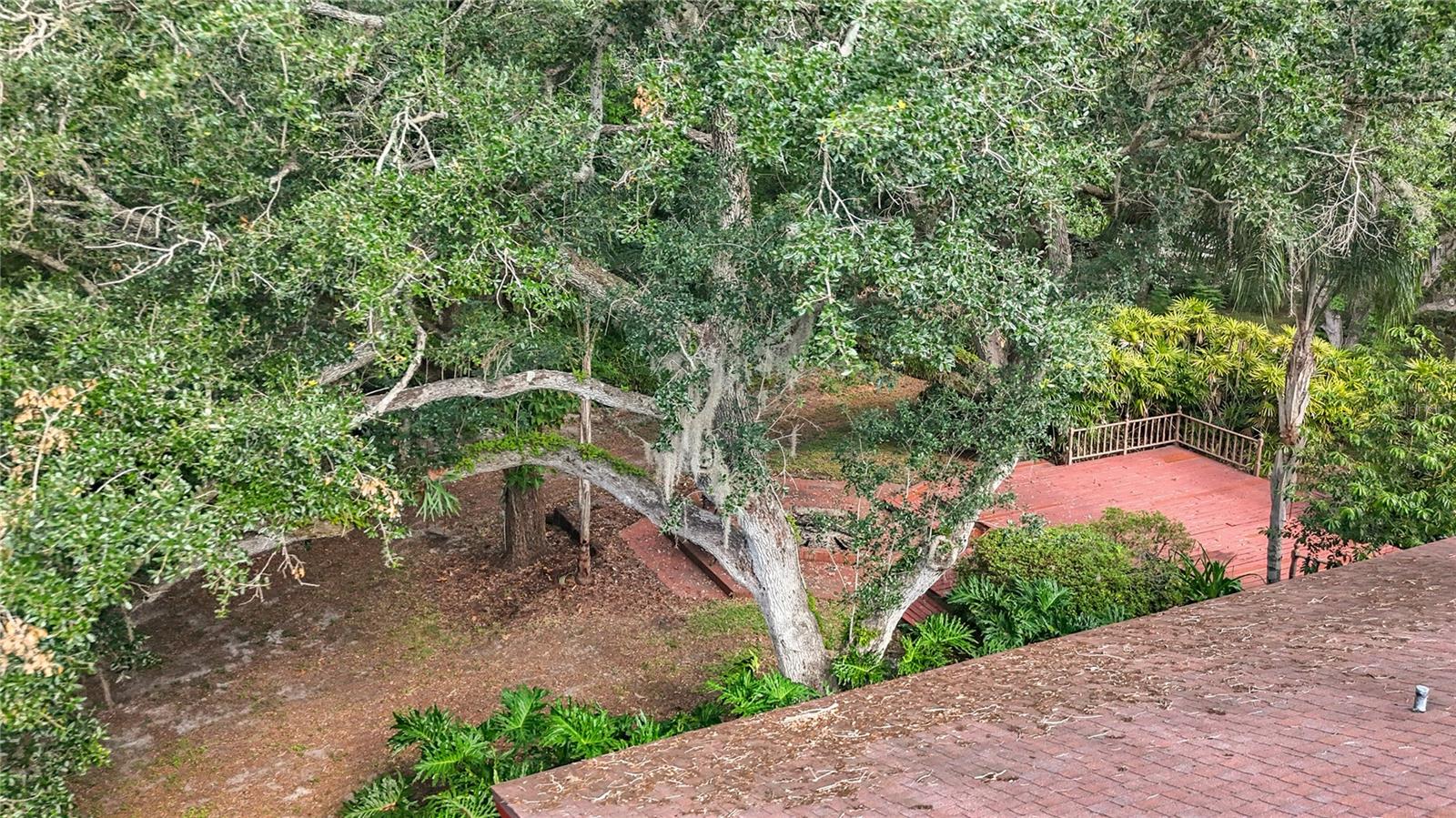 Aerial of Deck, Fire Pit & Creek