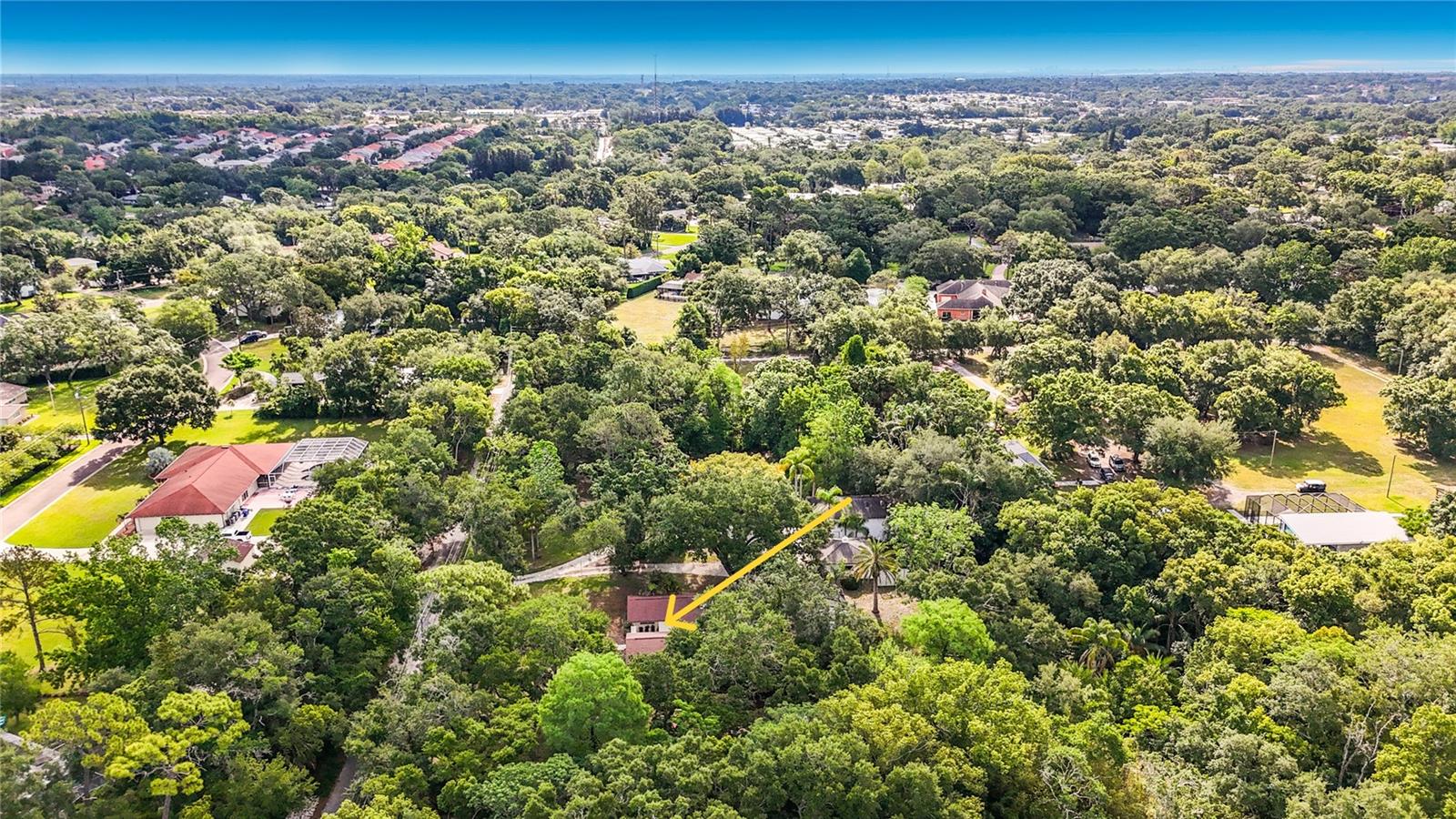 Aerial View East