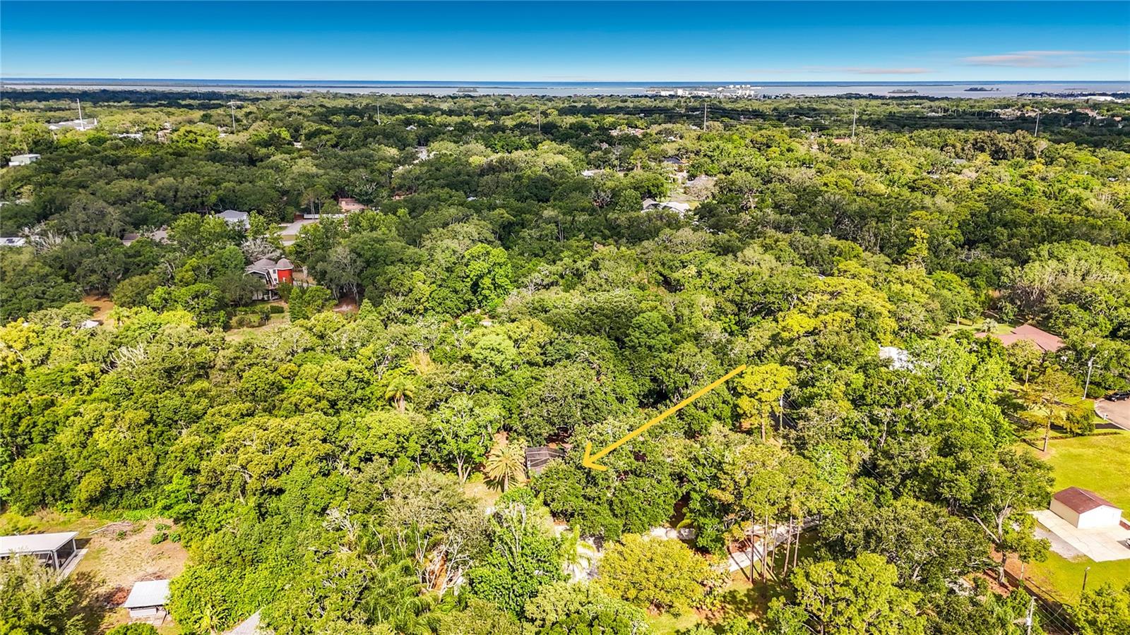 Aerial View West