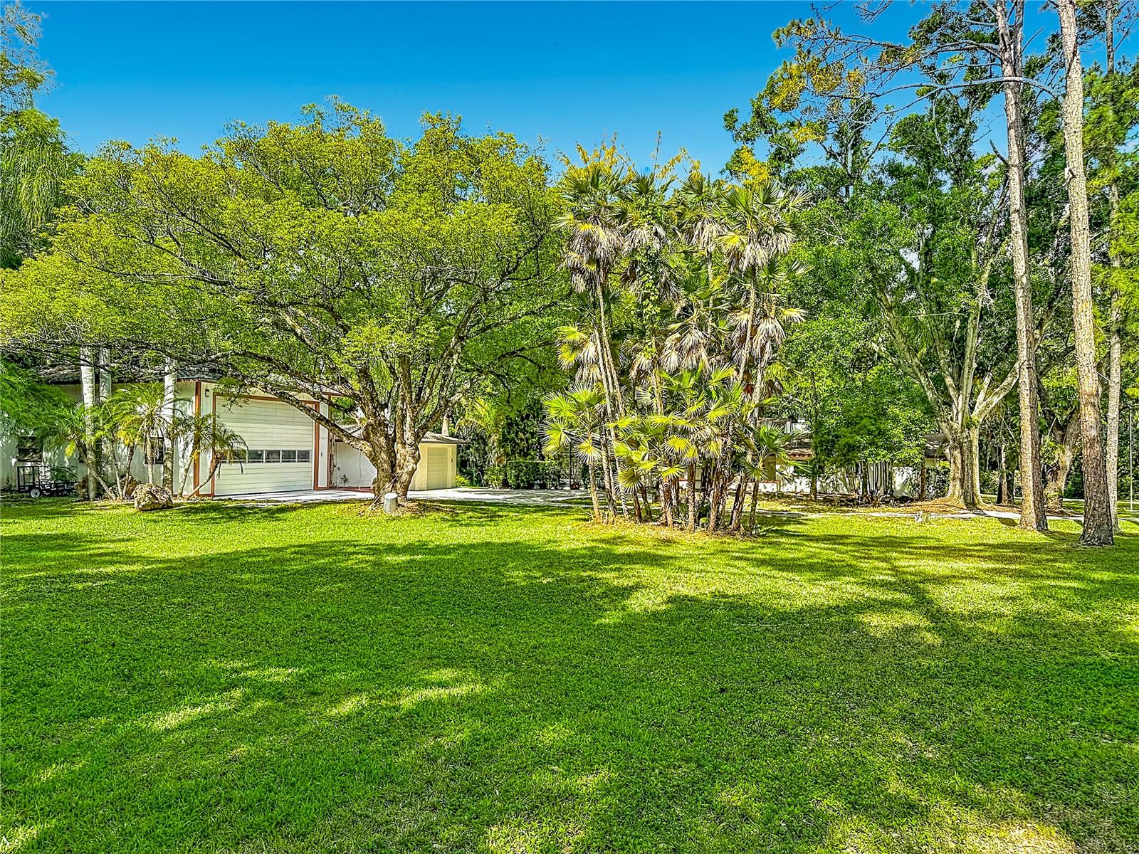 2065 Brady large side yard east side pf property