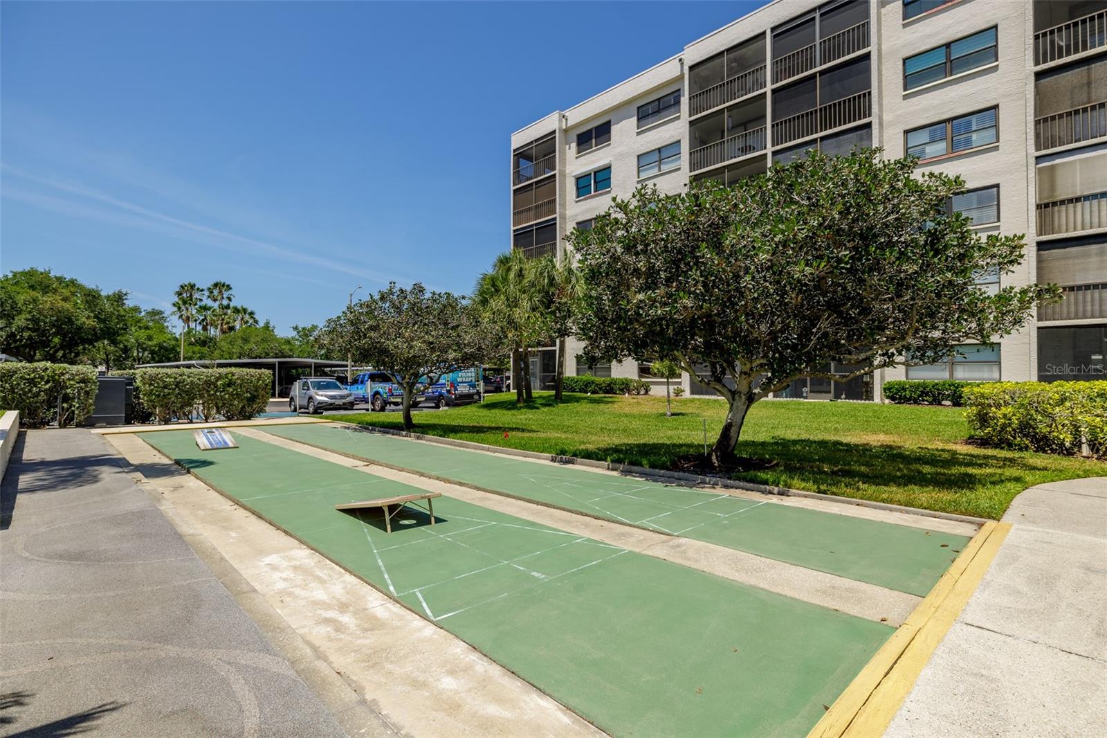 Shuffleboard