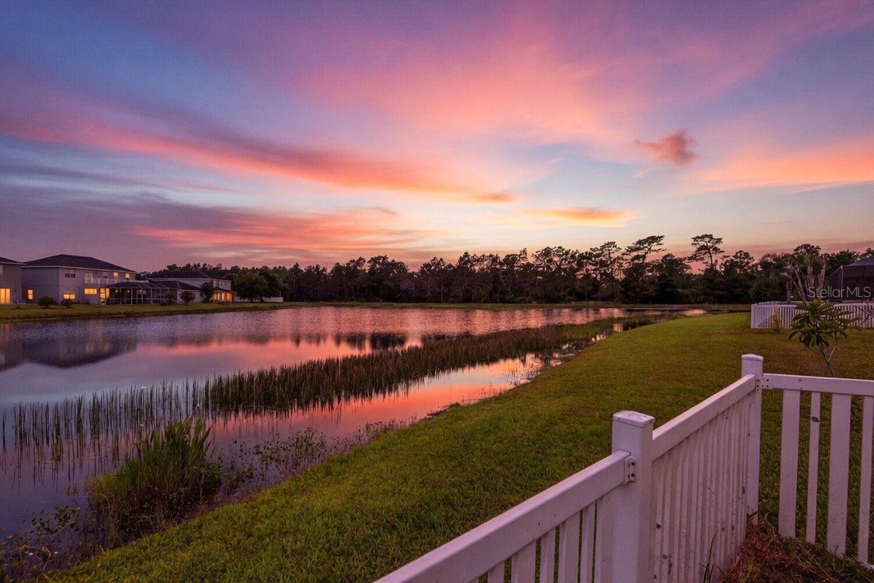 Backyard Sunset