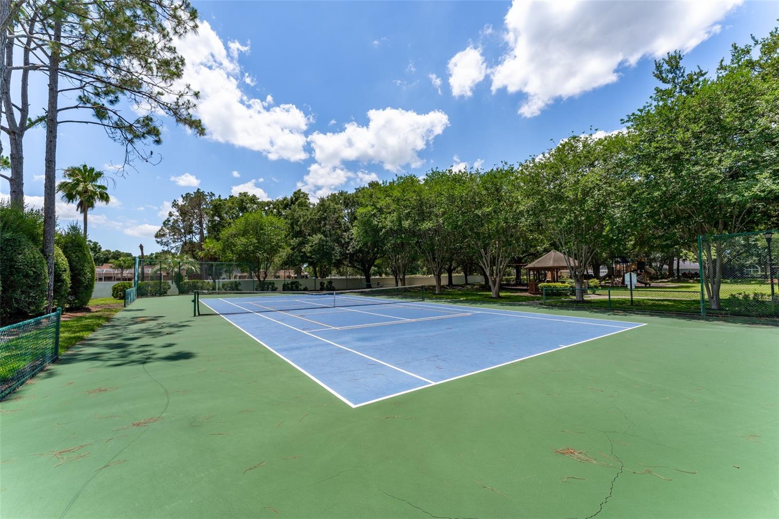 Community pickleball courts